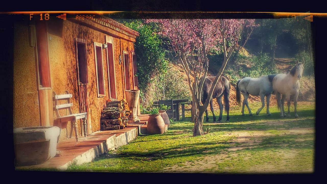 El Solei Paraiso En El Montseny Arbúcies Exterior foto